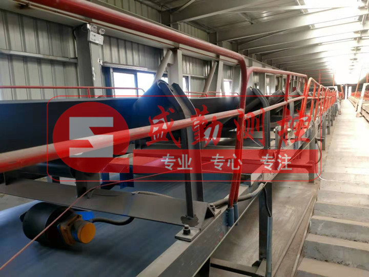 ��־Ƥ���Ӱ��b�F(xi��n)��2019.jpg
